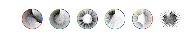 network-analysis